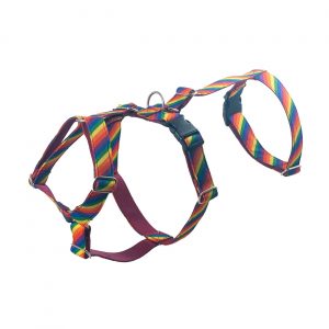 arnes de seguridad para perros