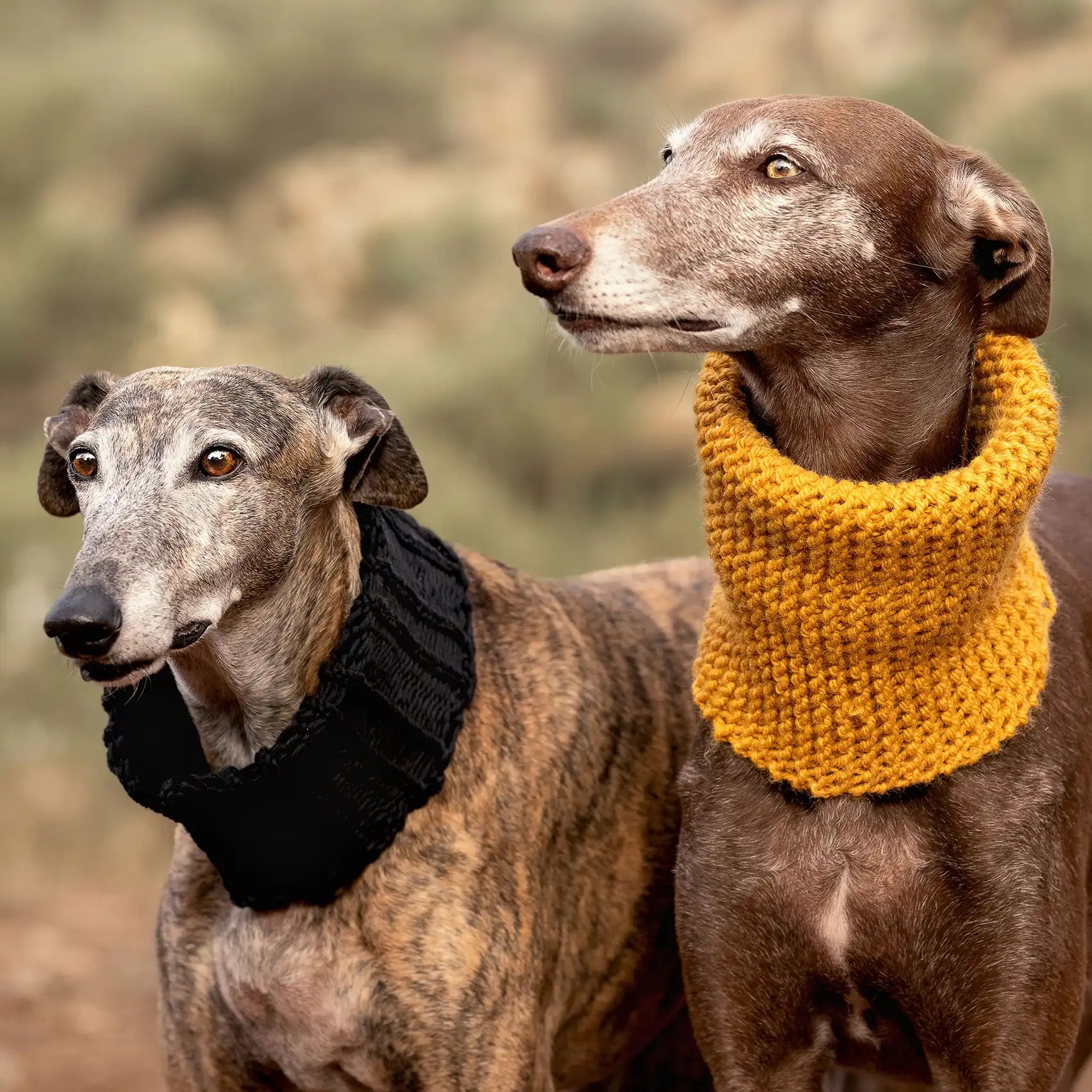 Bufanda Lucas Bufanda Lucas de lana vegana