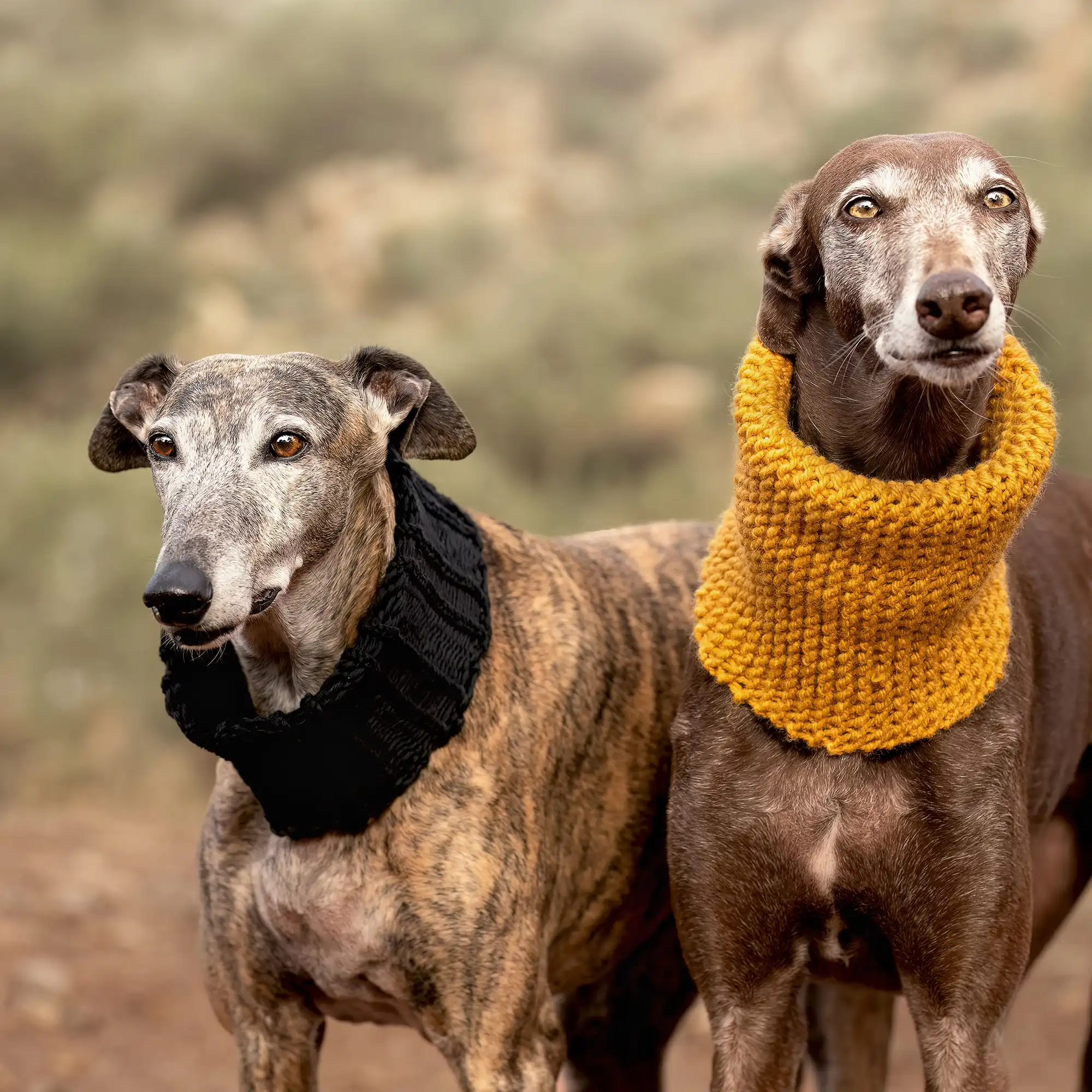 Bufanda Lucas 2 Bufanda Lucas foto 2